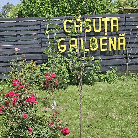 Casuta Galbena Villa Eforie Nord Eksteriør bilde